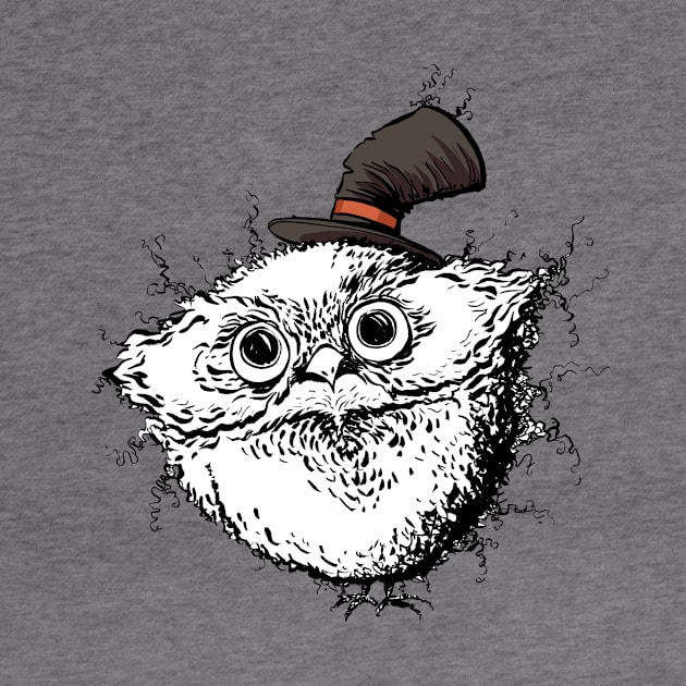 A Cute Fuzzy Owl with an Adorable Little Hat by obillwon